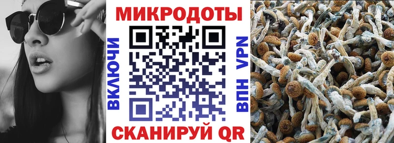Галлюциногенные грибы прущие грибы  Туймазы 